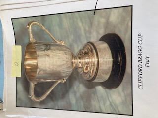 Image of Clifford Bragg Cup